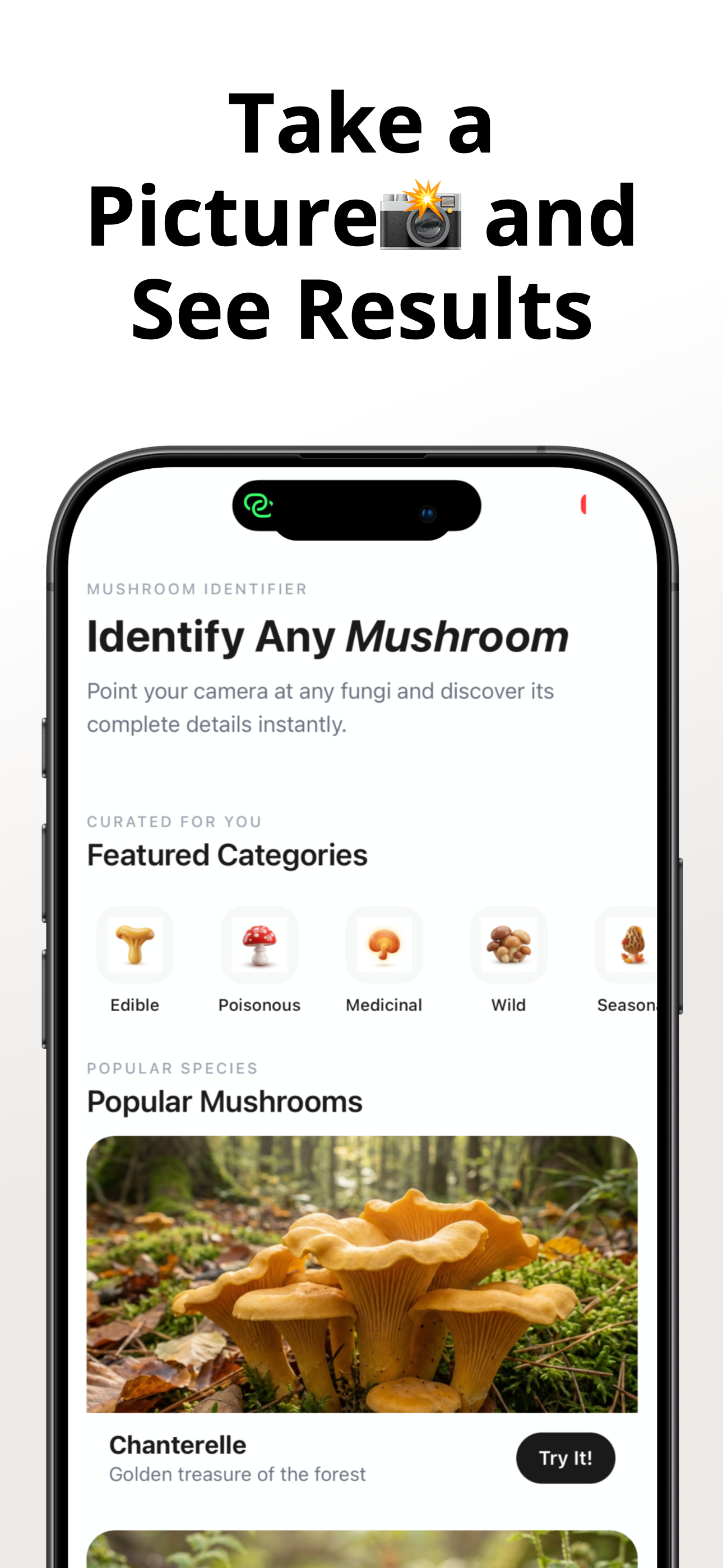 Mushroom Identifier: Mushy screenshot 2