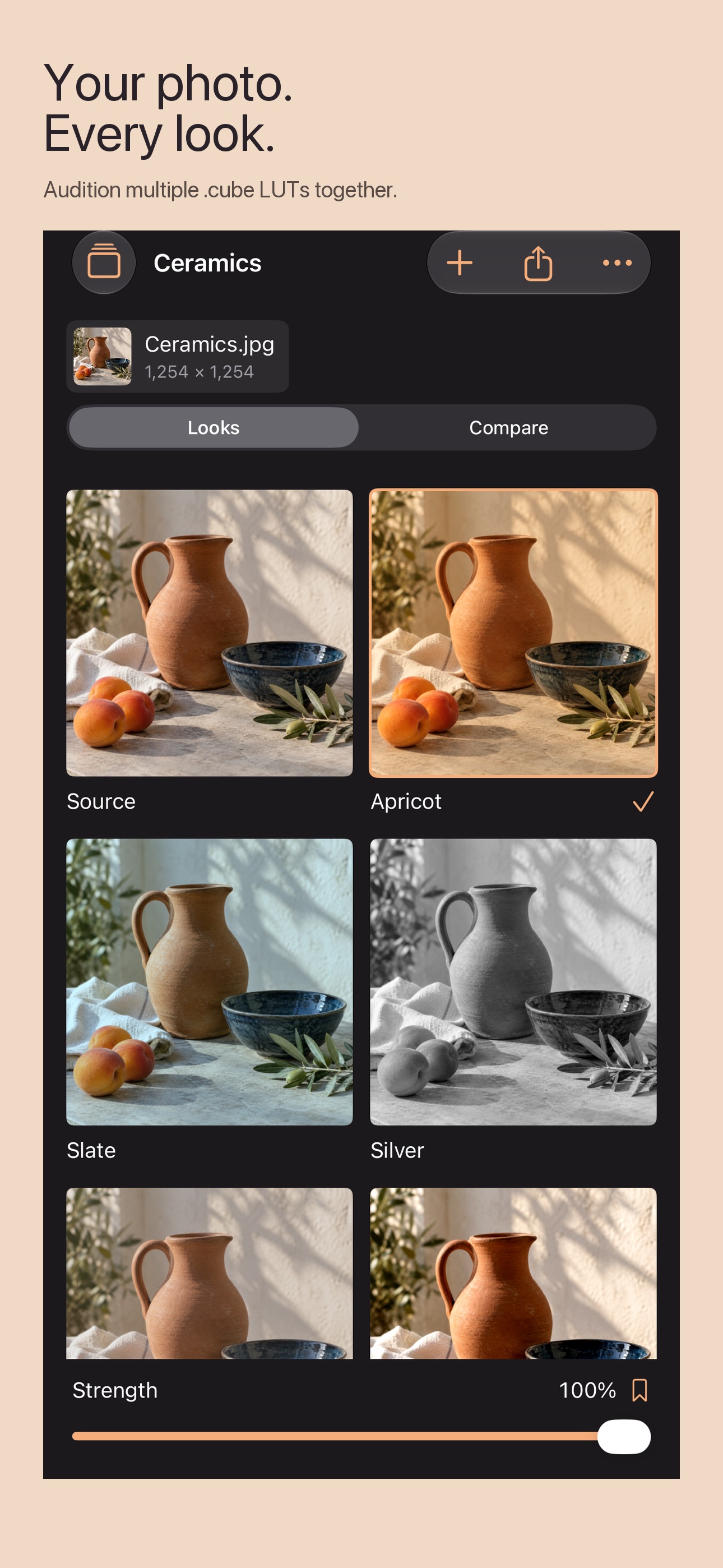 Screenshot 1 of Tintava LUT Proofs