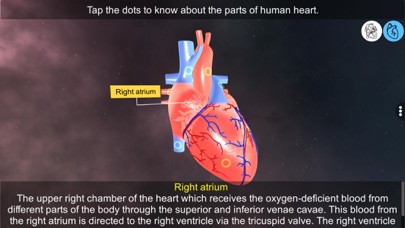 Screenshot #2 pour Heart - An incredible pump