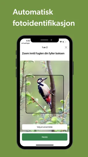 Merlin Bird ID By Cornell Lab iPhone-skjermbilde 6