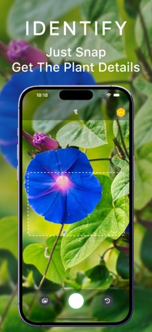 Leaf Identifier – Leafdify Screenshot 1 of 5