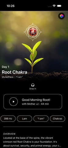 Awakening Soul: 7 Chakras Screenshot 7 of 7