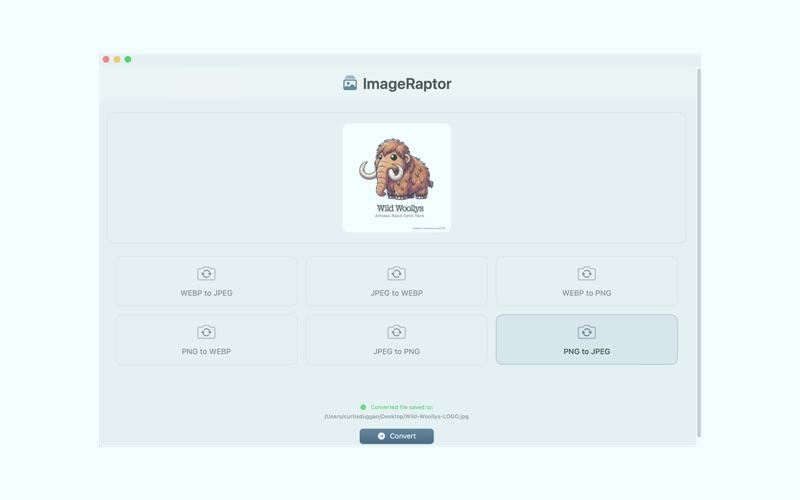 ImageRaptor - image converter app screenshot