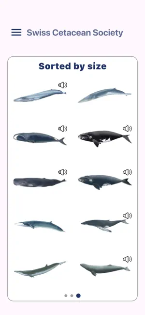 SCS – swiss cetacean society screenshot 4