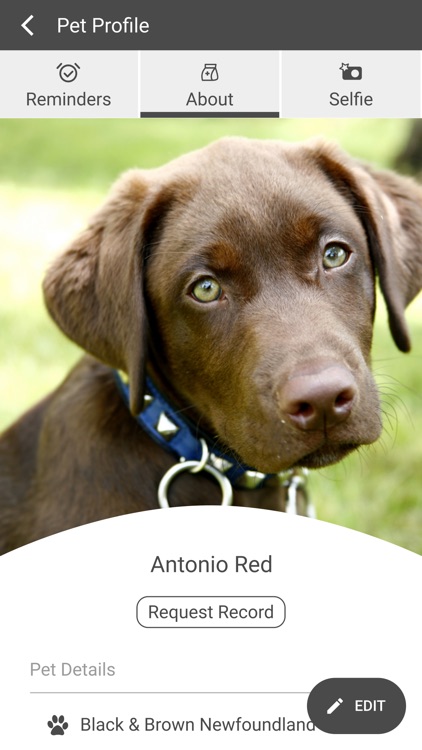 Encino Park Veterinary Clinic