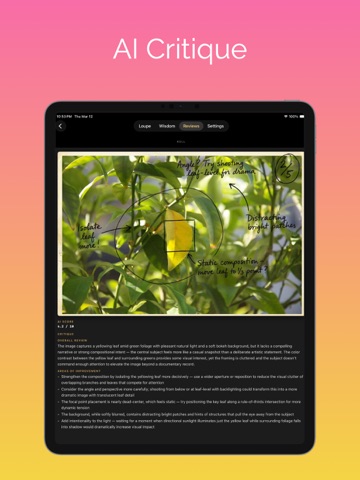 Contact Sheet: AI Photo Review iPad screenshot