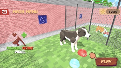 Virtual Pet: Am Kitty Cat Game Screenshot