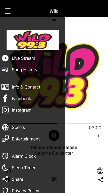 WiLD 99.3