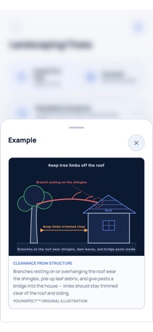 YouInspect Screenshot 7 of 10