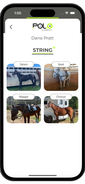Polo Connect Screenshot 6 of 7