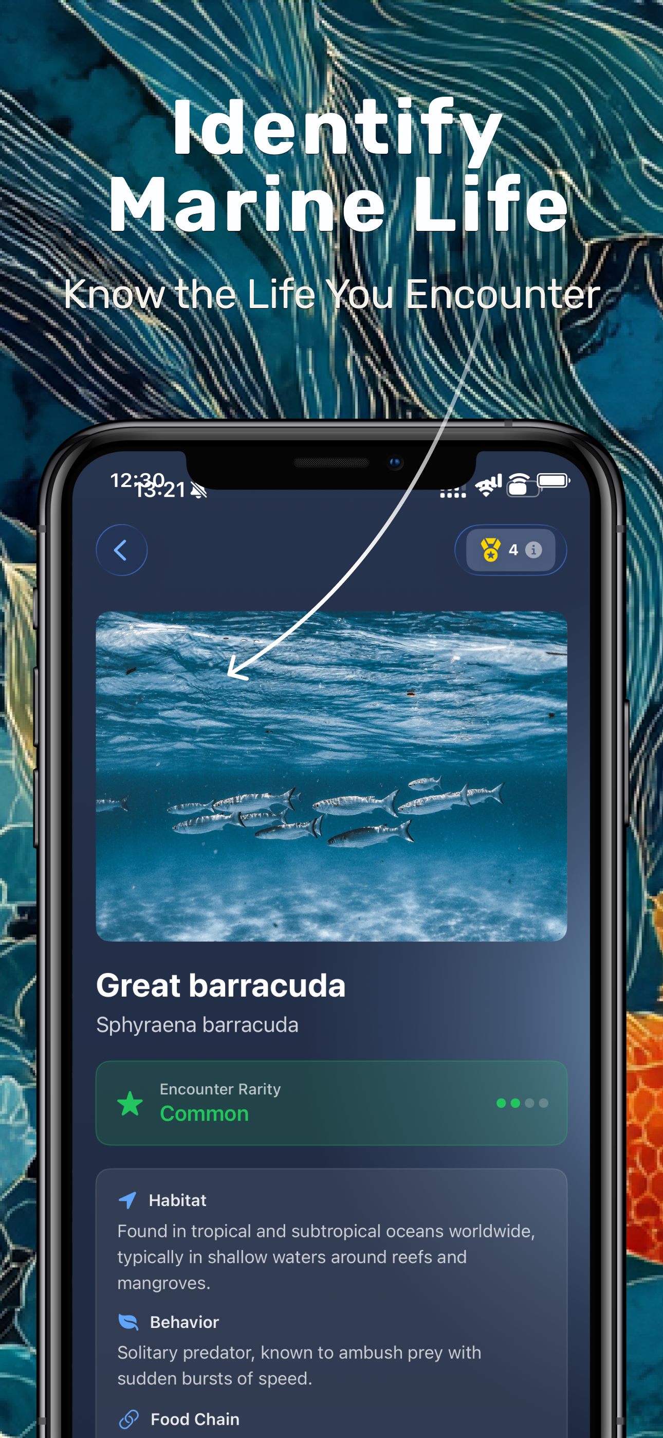 DiveFilter: Dive Photo Editor
