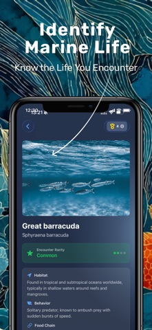 DiveFilter: Dive Photo Editor screenshot