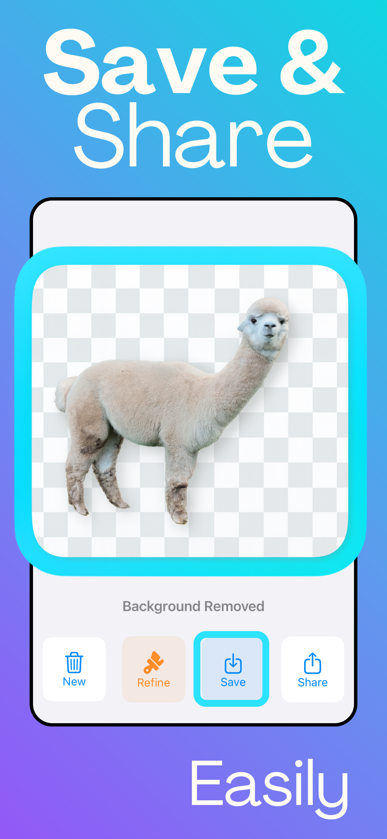 Remove Background: Cutout Tool