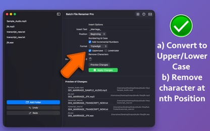 Batch File Renamer Pro screenshot 4
