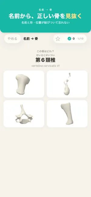 3D骨格の学習アプリ ｜ 解剖・国試2027対策 screenshot 2