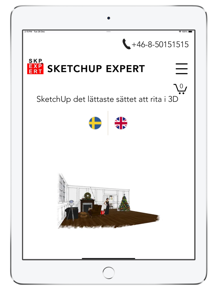 SketchUp Expert