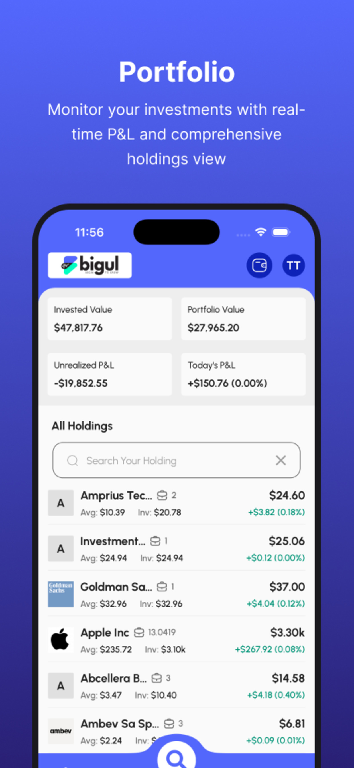 Bigul Global Investments