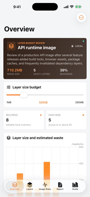 Layerquarry: Image Audit screenshot 1