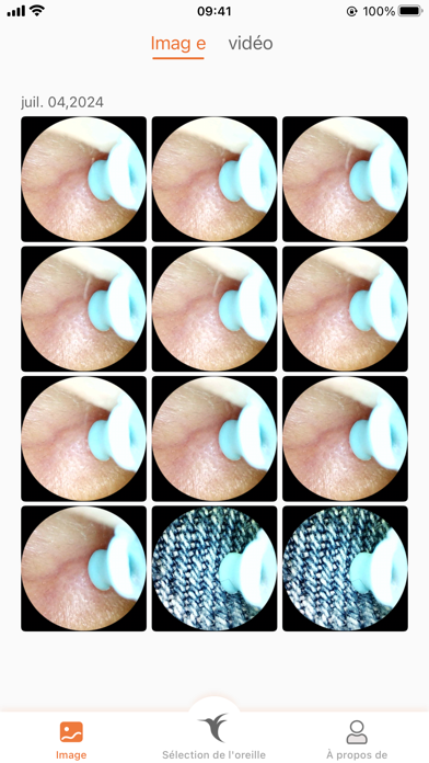 Screenshot #2 pour bebird