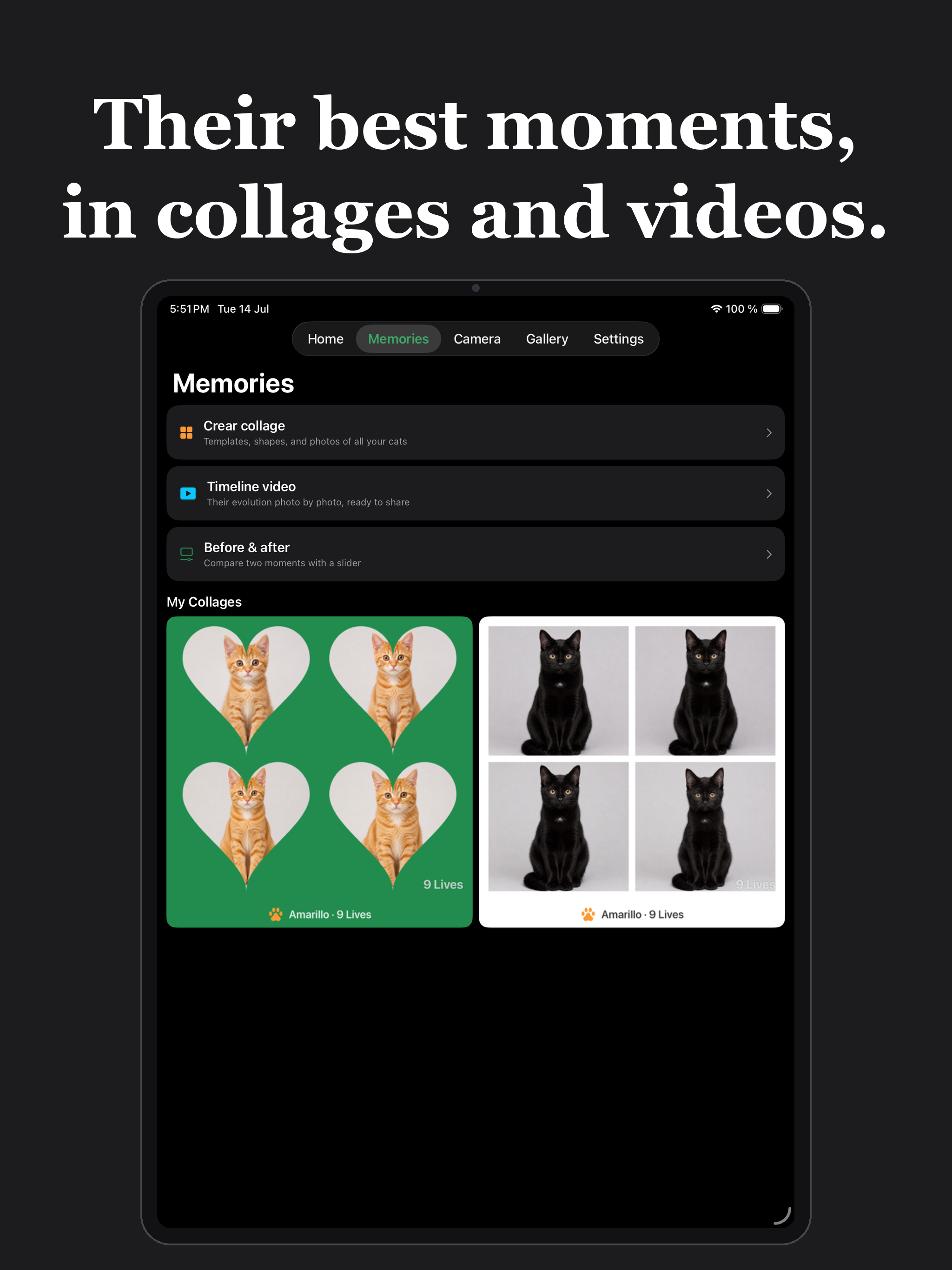CatLives: Cat Care Tracker screenshot 7