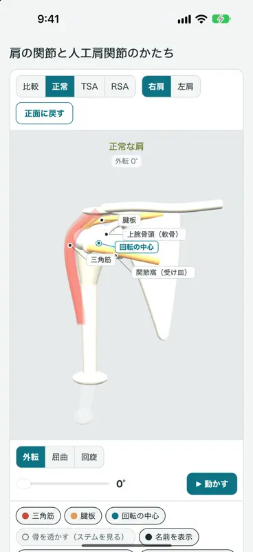 肩関節モデル screenshot 2 of 4