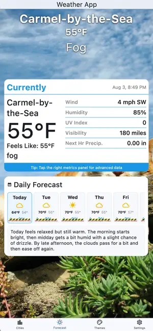 The Weather Cat Channel screenshot 3