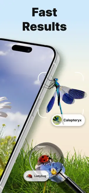 Bug ID - AI Insect Identifier screenshot 2