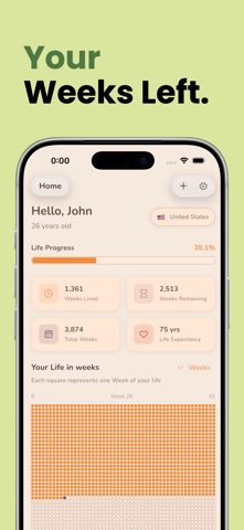 Memento Mori: Time Left Screenshot 2 of 5