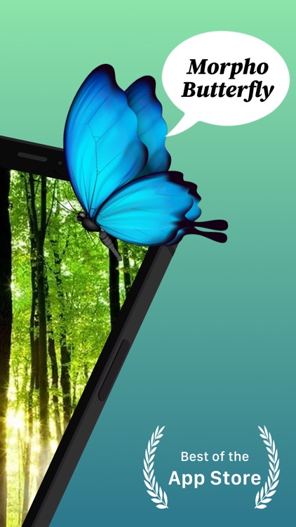 Bug identifier・Insect Scanner by Doga Bayram