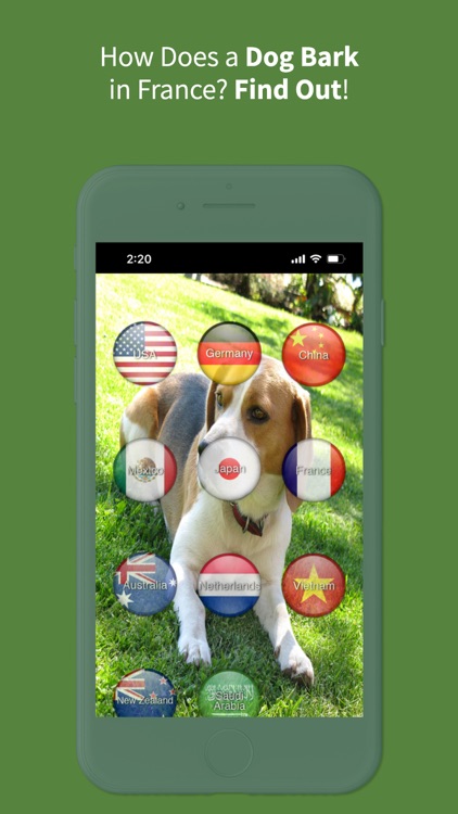Animal Sounds Translator screenshot-4