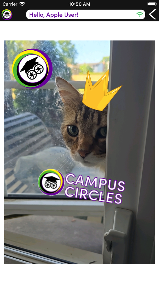 #6. Campus Circles (iOS) 由: My Party Album Inc.