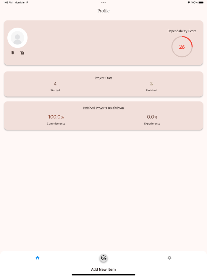Project Pilot Manage Ambition