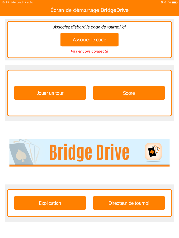 Screenshot #4 pour BridgeDrive