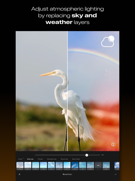 LUMINS - Light Photo Editor iPad screenshot 5 - Photo & Video app