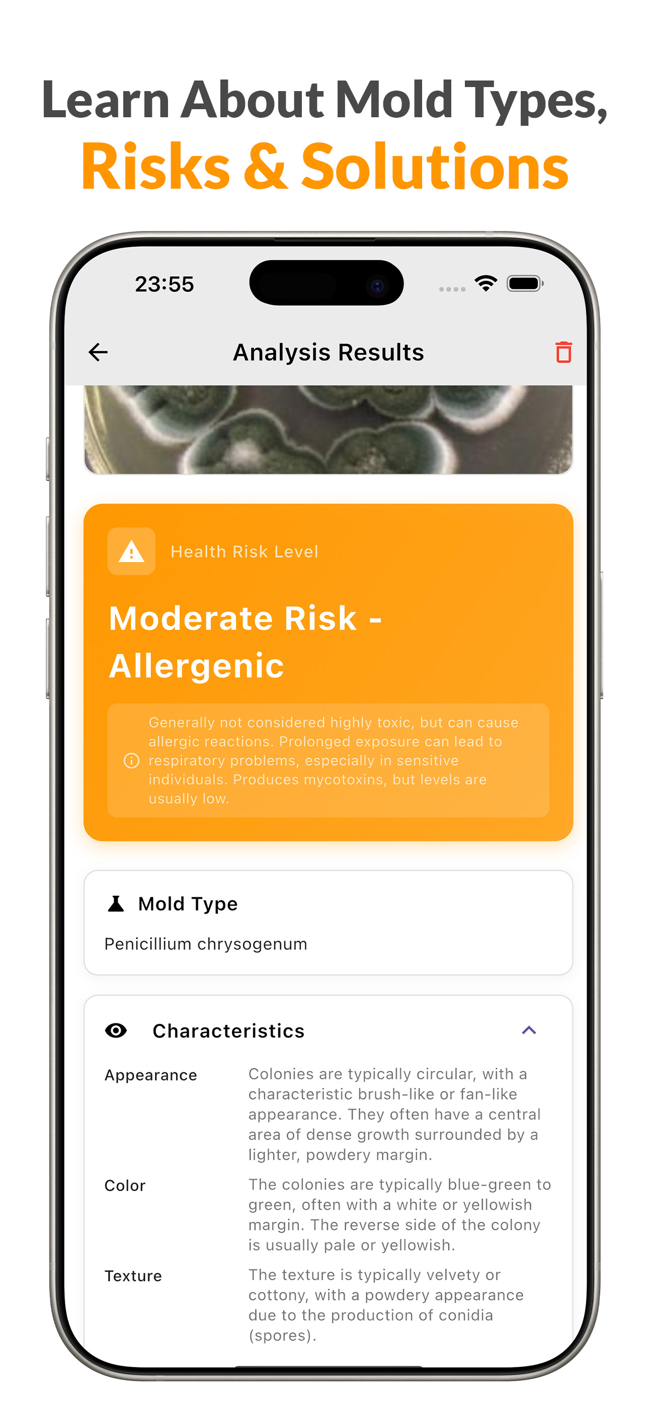 Mold Identifier & Finder Ai