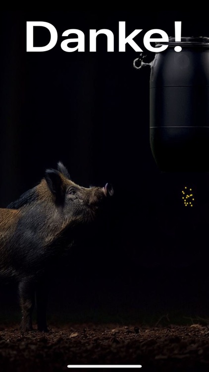 Handykirrung screenshot-3