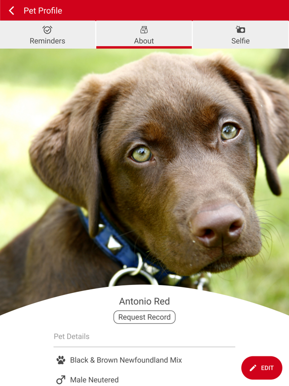 Dykes Veterinary Clinic iPad screenshot