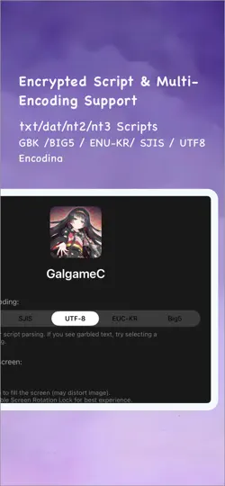 Capture d'écran de IONSPlayer sur iPhone 2