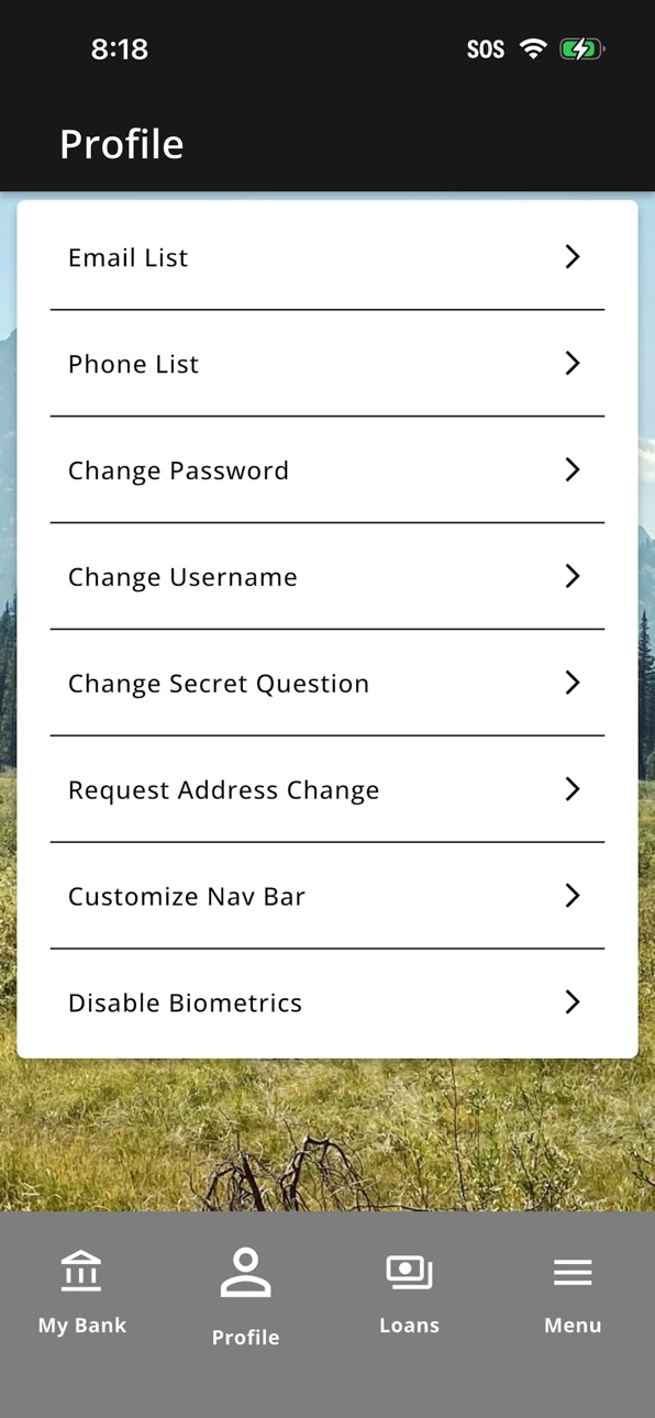 iPhone screenshot