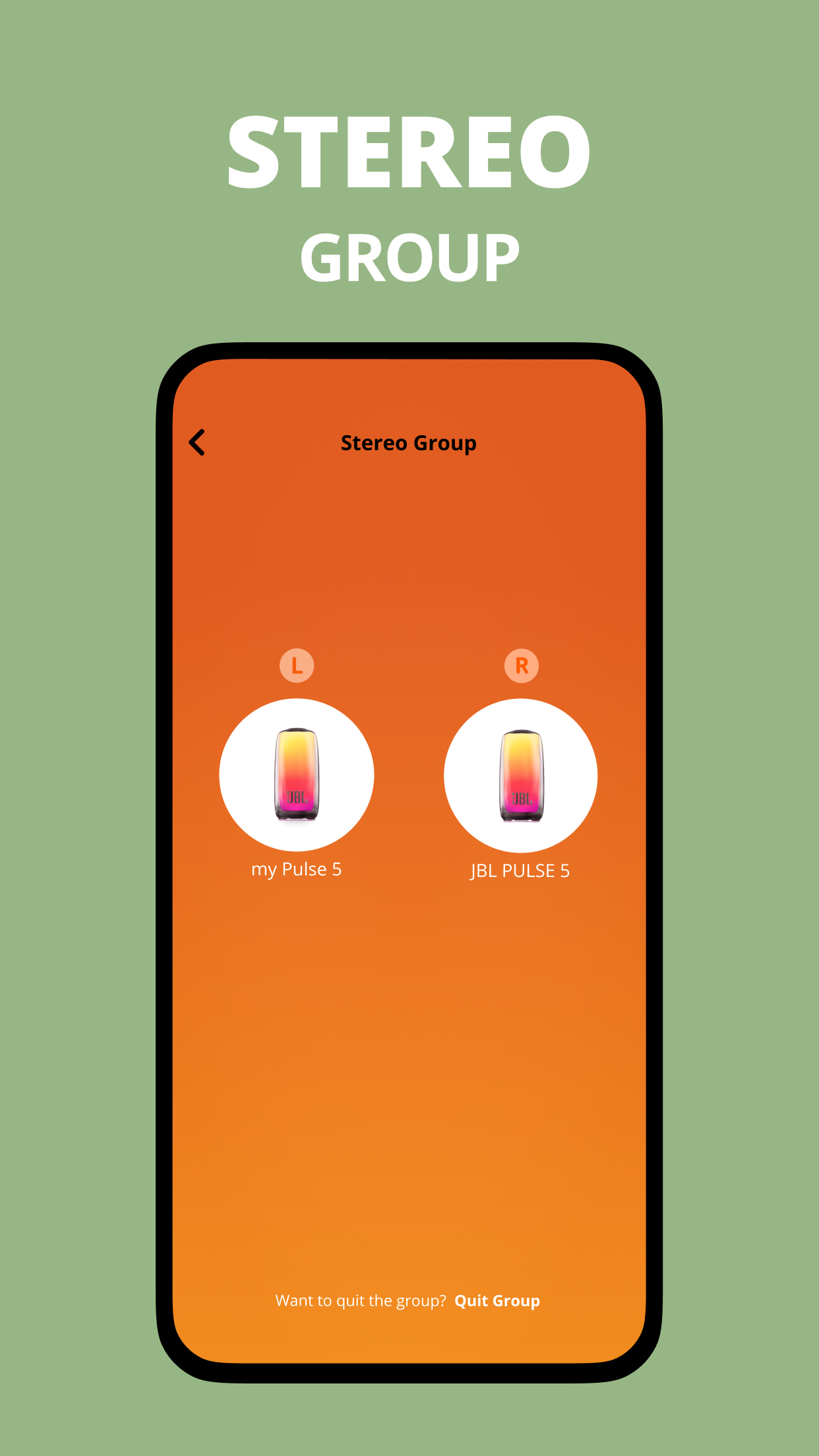 JBL Portable screenshot 5