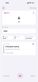 Learn Polish Vocabulary Words screenshot