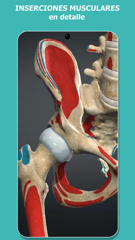 Anatomy Learning - Anatomía 3D screenshot 5 of 7