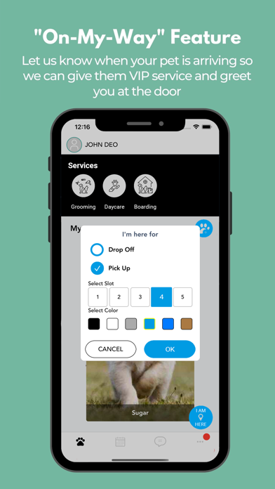 Happy Paws Pet Lounge Screenshot