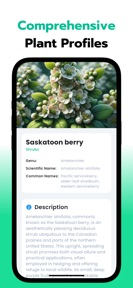 Leaf Identification: Leafzy screenshot