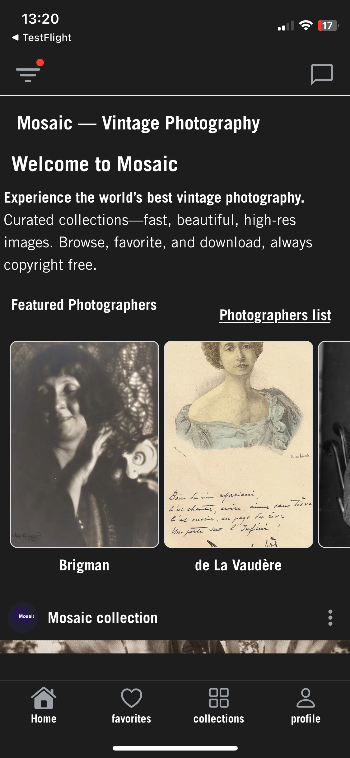 Mosaic — Vintage Photography