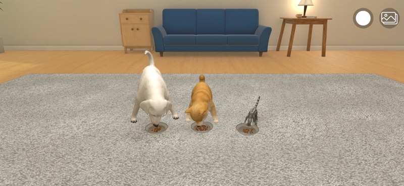 with My Buddy screenshot 4