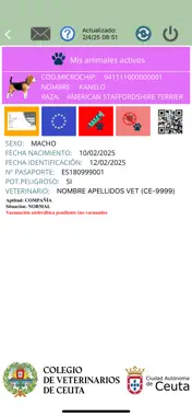 DataPets Ceuta screenshot 4
