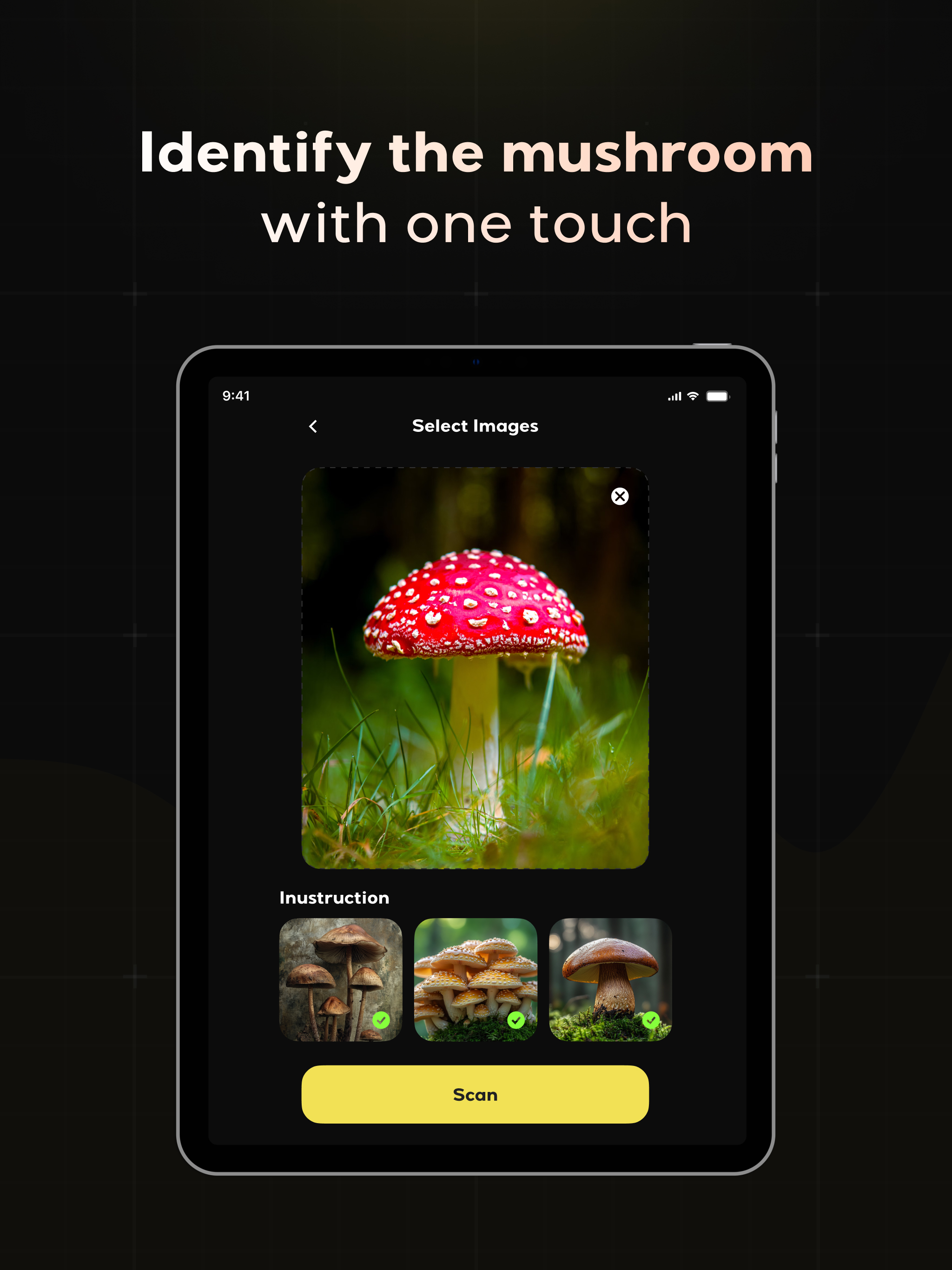 Mushroom Identifier: Finder AI screenshot 6