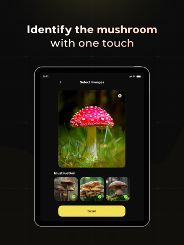 Mushroom Identifier: Finder AI iPad screenshot