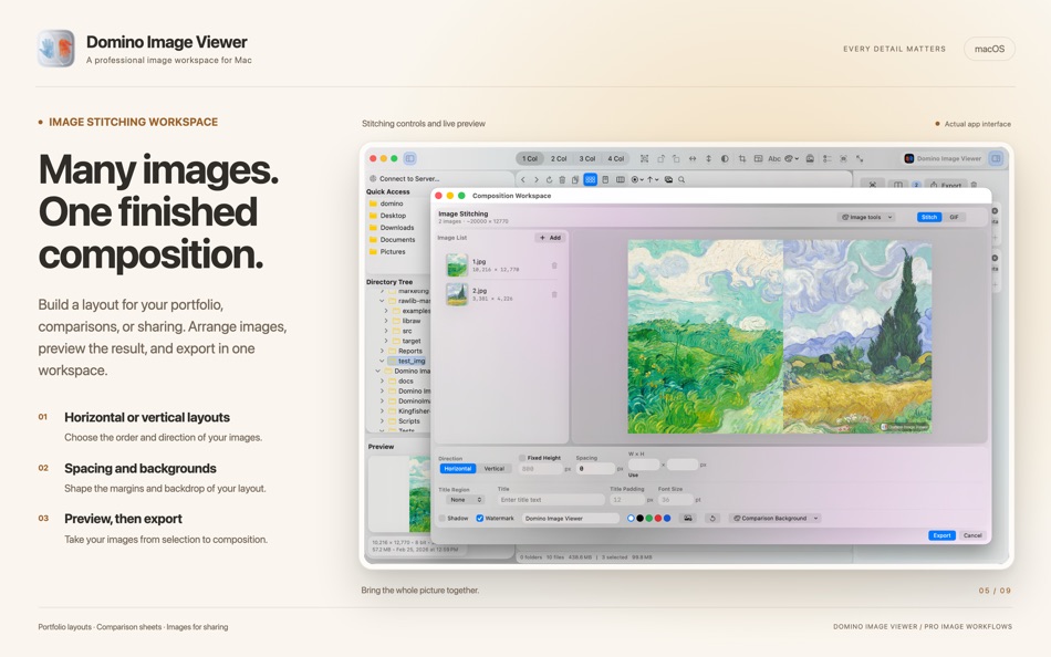 #9. Domino Image Viewer (macOS) Av: 思奇 徐